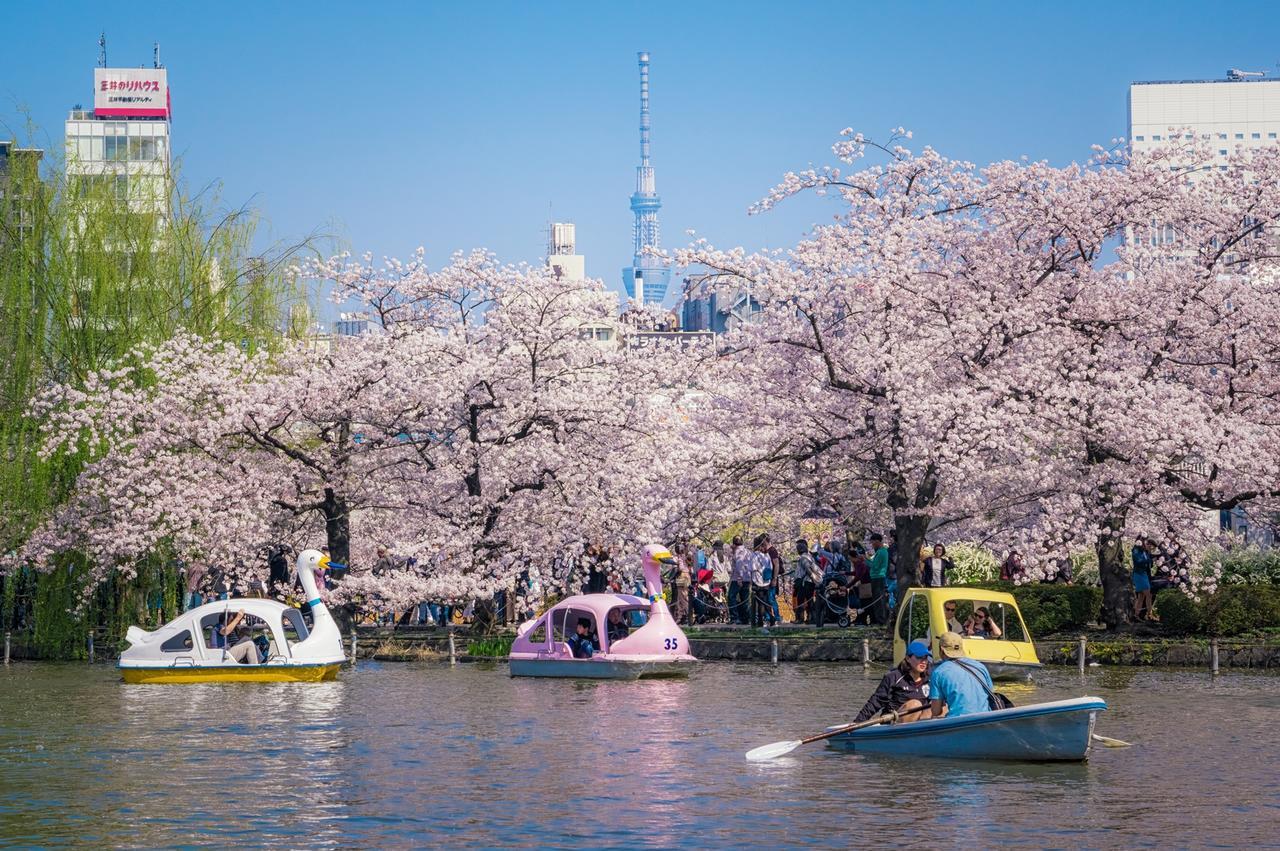 Sadou Hostel Tokyo Ueno Екстер'єр фото